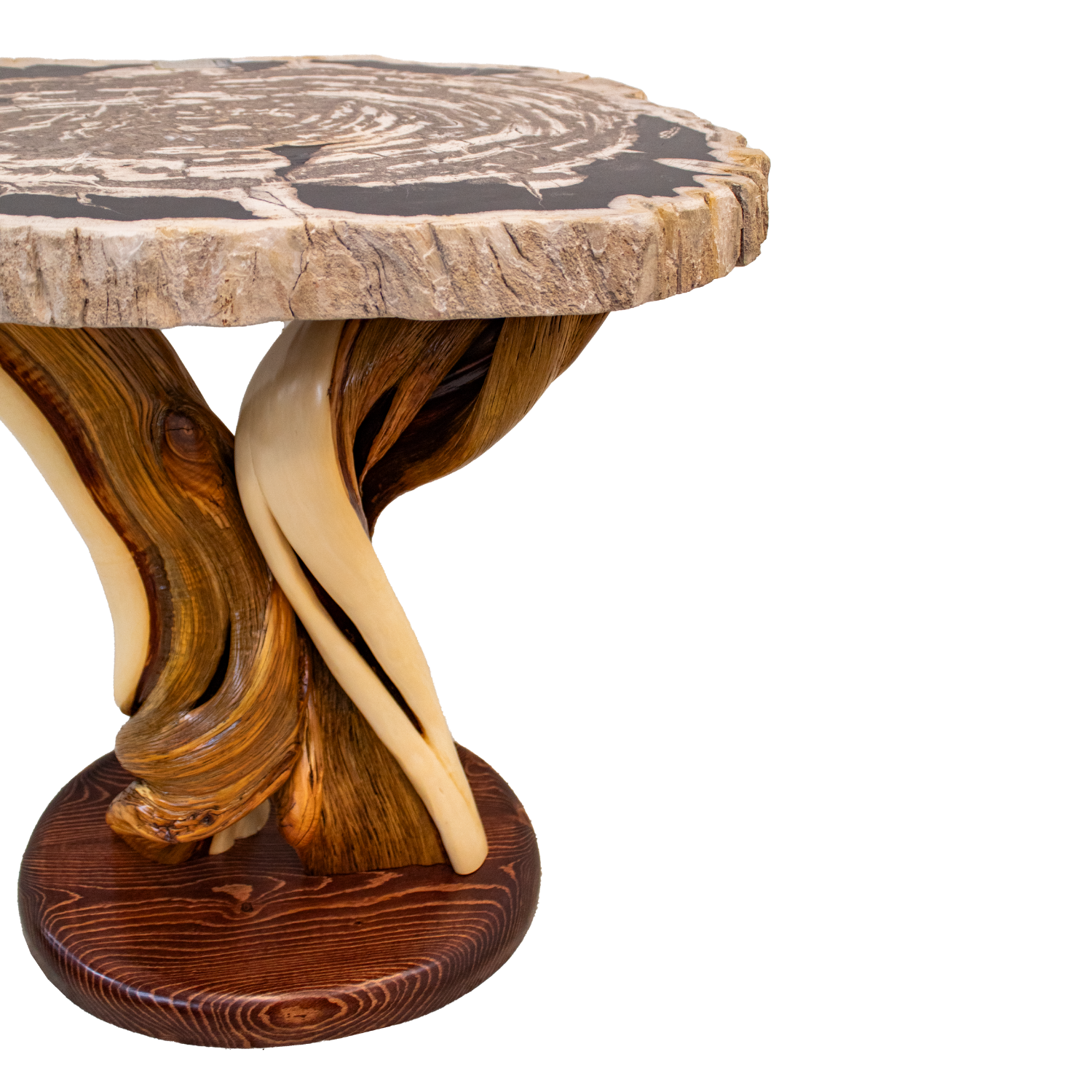 Petrified Wood End Table Mountain Top Furniture